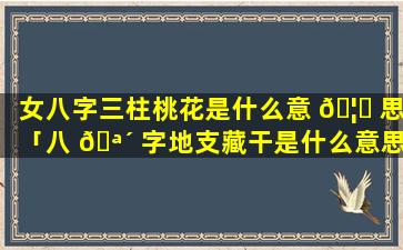 女八字三柱桃花是什么意 🦄 思「八 🪴 字地支藏干是什么意思」
